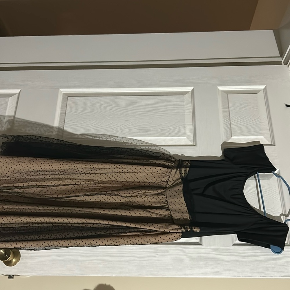 Dress! Very pretty, never had an occasion to wear it to